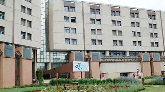 馬爾凱理工大學-專業(yè)設置-學院概括