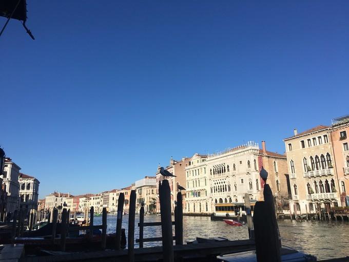 1b2475348035fcbca2933a1c6c543c20.jpg 222.jpg