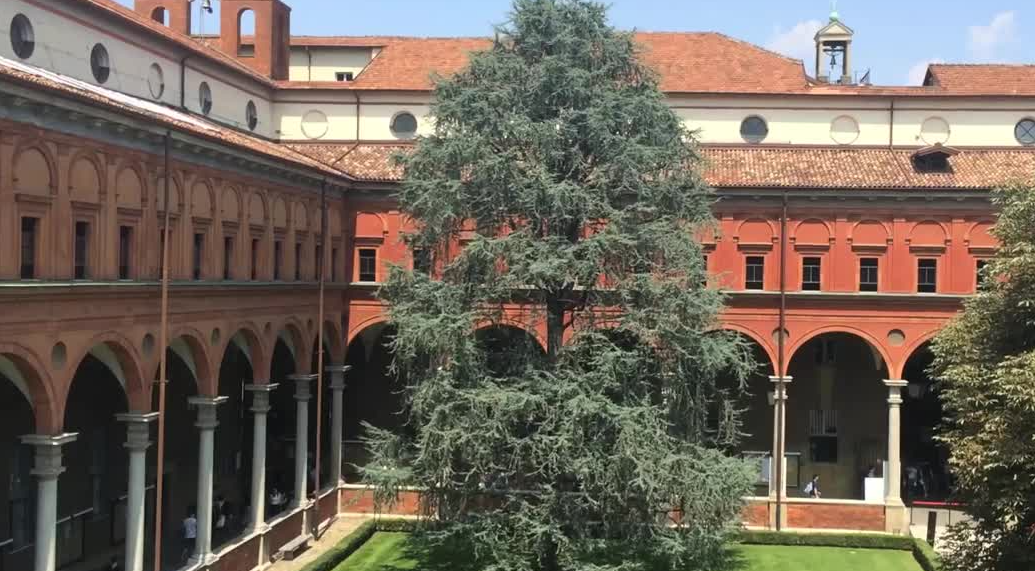 f230a263440d47850376eb9451199c78.png 1111111111.png