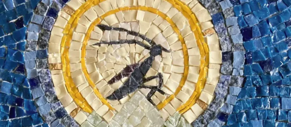 fea70a8fef3c19847e782f248fd7c5f2.png 2222222.png