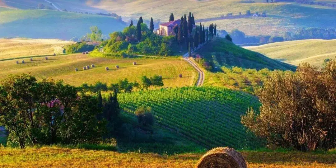 be3543cf1e7f2bf6a35bfab3ecba47aa.png 2222222.png